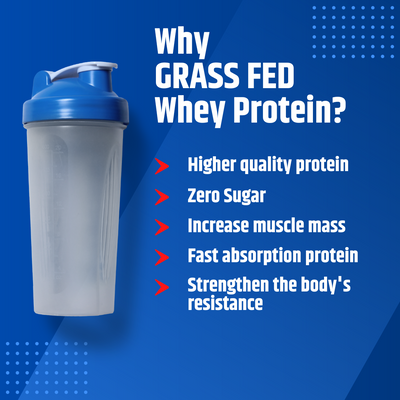 Grass-Fed Whey Protein With No Sugar: Benefits and Considerations