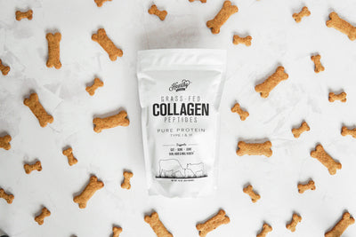 Pumpkin Flour Dog Biscuits with Collagen