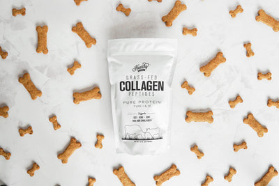 Pumpkin Flour Dog Biscuits with Collagen