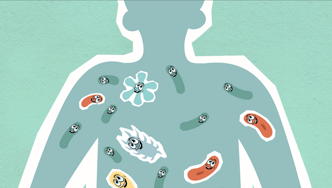 How To Use Our Prebiotic Fibers For Your Probiotic Community (pt 1)