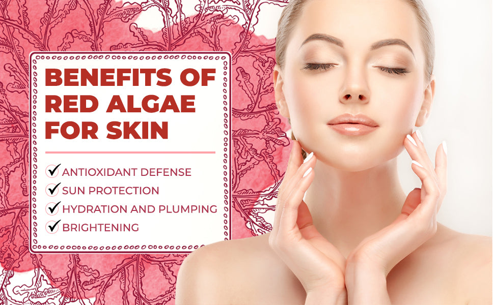 Agar Agar - Natural Daily Fiber