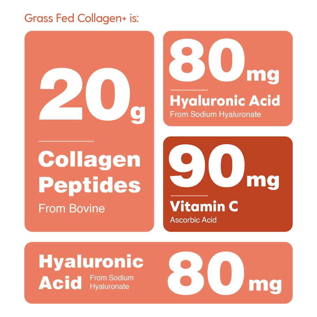 Collagen+ | Hydrolyzed Collagen with Biotin, Hyaluronic Acid & Vitamin ...