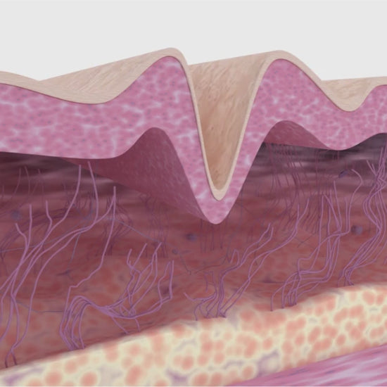 collagen video 