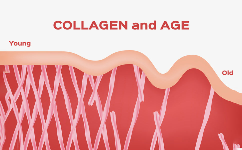 collagen benefits