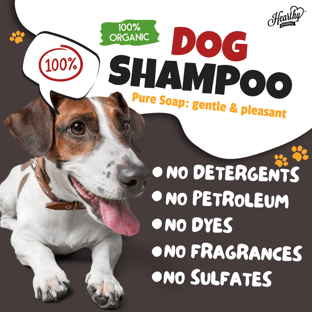 dog shampoo benefits