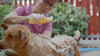 dog shampoo video