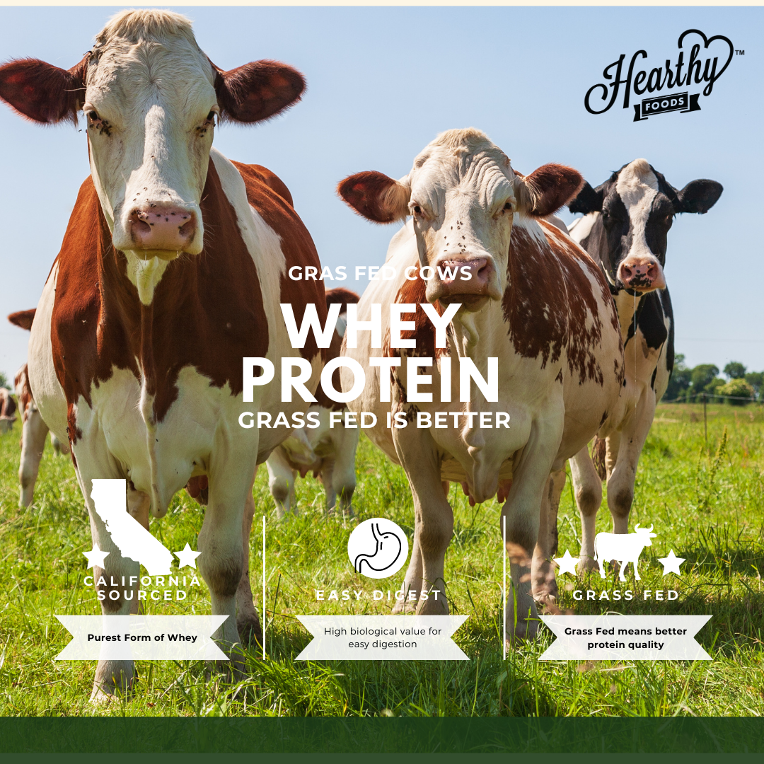 Whey protein made from cows 